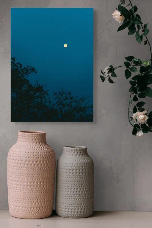 Tablou Canvas, "Luna plină strălucind în noapte", Lună, Cer, Albastru, Siluete, Crengi, Noapte, Liniște, Mister, Natură, Întuneric, 39 x 54 cm – poza 6