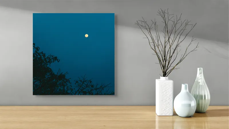 Tablou Canvas, "Luna plină strălucind în noapte", Lună, Cer, Albastru, Siluete, Crengi, Noapte, Liniște, Mister, Natură, Întuneric, 50 x 50 cm – poza 3