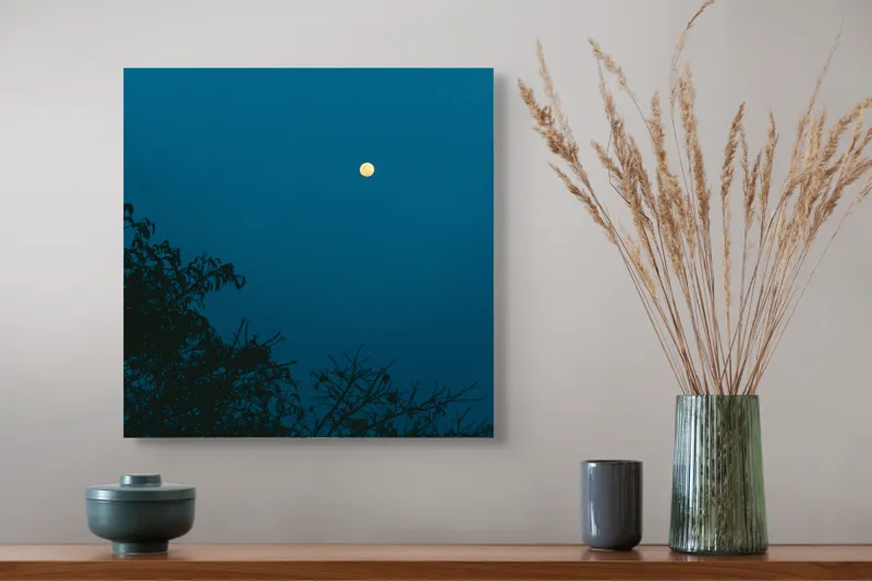 Tablou Canvas, "Luna plină strălucind în noapte", Lună, Cer, Albastru, Siluete, Crengi, Noapte, Liniște, Mister, Natură, Întuneric, 50 x 50 cm – poza 4