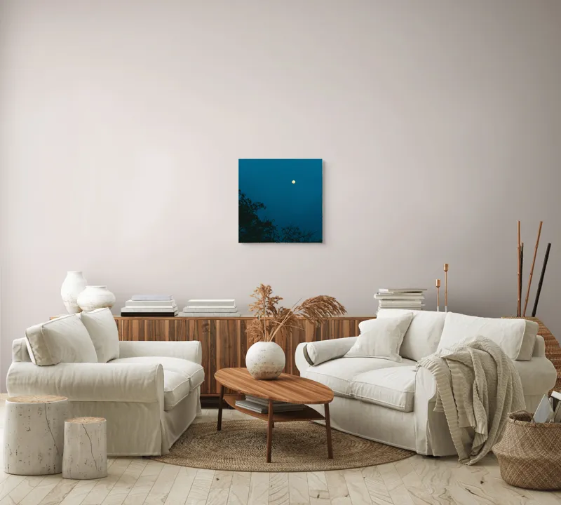 Tablou Canvas, "Luna plină strălucind în noapte", Lună, Cer, Albastru, Siluete, Crengi, Noapte, Liniște, Mister, Natură, Întuneric, 50 x 50 cm – poza 7