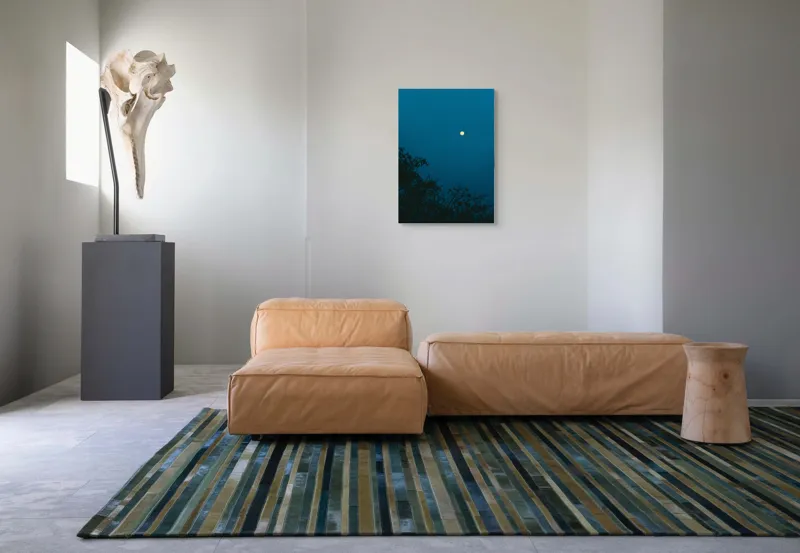 Tablou Canvas, "Luna plină strălucind în noapte", Lună, Cer, Albastru, Siluete, Crengi, Noapte, Liniște, Mister, Natură, Întuneric, 50 x 70 cm – poza 7