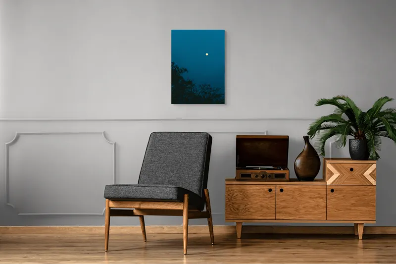 Tablou Canvas, "Luna plină strălucind în noapte", Lună, Cer, Albastru, Siluete, Crengi, Noapte, Liniște, Mister, Natură, Întuneric, 50 x 70 cm – poza 8