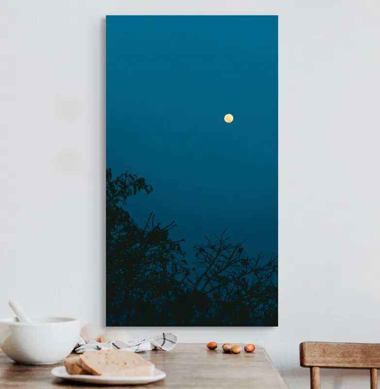 Tablou Canvas, "Luna plină strălucind în noapte", Lună, Cer, Albastru, Siluete, Crengi, Noapte, Liniște, Mister, Natură, Întuneric, 50 x 90 cm – poza 3
