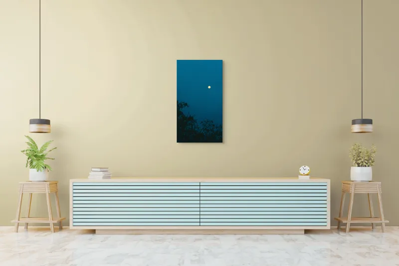 Tablou Canvas, "Luna plină strălucind în noapte", Lună, Cer, Albastru, Siluete, Crengi, Noapte, Liniște, Mister, Natură, Întuneric, 50 x 90 cm – poza 6