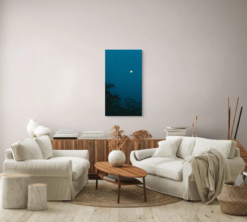 Tablou Canvas, "Luna plină strălucind în noapte", Lună, Cer, Albastru, Siluete, Crengi, Noapte, Liniște, Mister, Natură, Întuneric, 50 x 90 cm – poza 7
