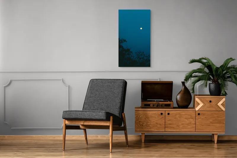 Tablou Canvas, "Luna plină strălucind în noapte", Lună, Cer, Albastru, Siluete, Crengi, Noapte, Liniște, Mister, Natură, Întuneric, 50 x 90 cm – poza 8