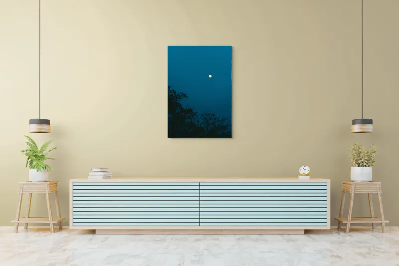 Tablou Canvas, "Luna plină strălucind în noapte", Lună, Cer, Albastru, Siluete, Crengi, Noapte, Liniște, Mister, Natură, Întuneric, 70 x 100 cm – poza 5