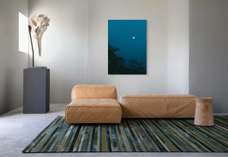 Tablou Canvas, "Luna plină strălucind în noapte", Lună, Cer, Albastru, Siluete, Crengi, Noapte, Liniște, Mister, Natură, Întuneric, 70 x 100 cm – poza 7