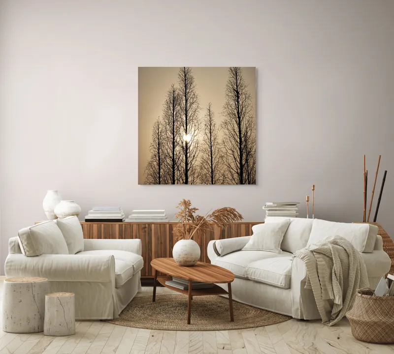 Tablou Canvas, "Razele soarelui printre ramuri înalte", Cer, Apus, Copaci, Siluete, Ramuri, Lumina, Soare, Calm, Umbre, Natura, 100 x 100 cm – poza 3