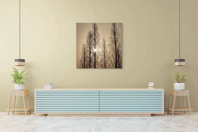 Tablou Canvas, "Razele soarelui printre ramuri înalte", Cer, Apus, Copaci, Siluete, Ramuri, Lumina, Soare, Calm, Umbre, Natura, 100 x 100 cm – poza 5