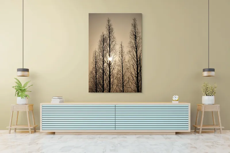 Tablou Canvas, "Razele soarelui printre ramuri înalte", Cer, Apus, Copaci, Siluete, Ramuri, Lumina, Soare, Calm, Umbre, Natura, 100 x 150 cm – poza 4