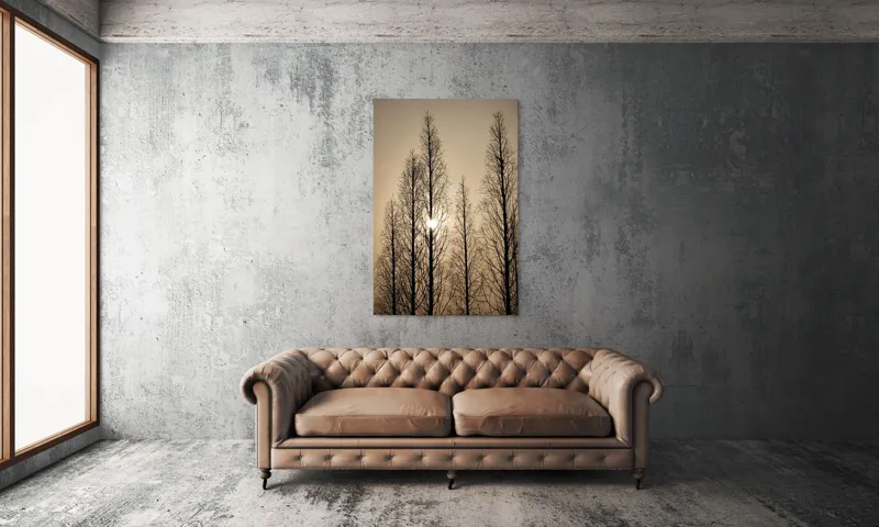Tablou Canvas, "Razele soarelui printre ramuri înalte", Cer, Apus, Copaci, Siluete, Ramuri, Lumina, Soare, Calm, Umbre, Natura, 100 x 150 cm – poza 6