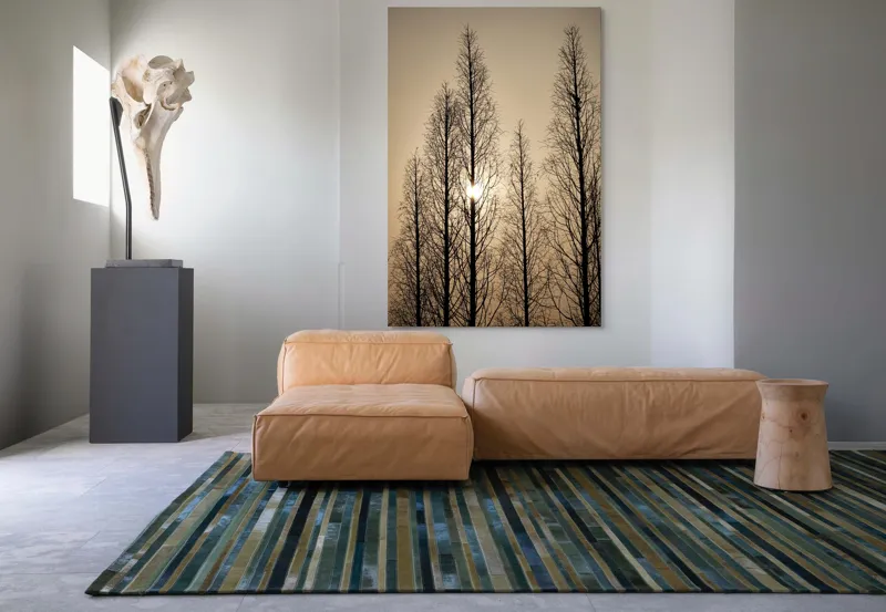 Tablou Canvas, "Razele soarelui printre ramuri înalte", Cer, Apus, Copaci, Siluete, Ramuri, Lumina, Soare, Calm, Umbre, Natura, 100 x 150 cm – poza 7