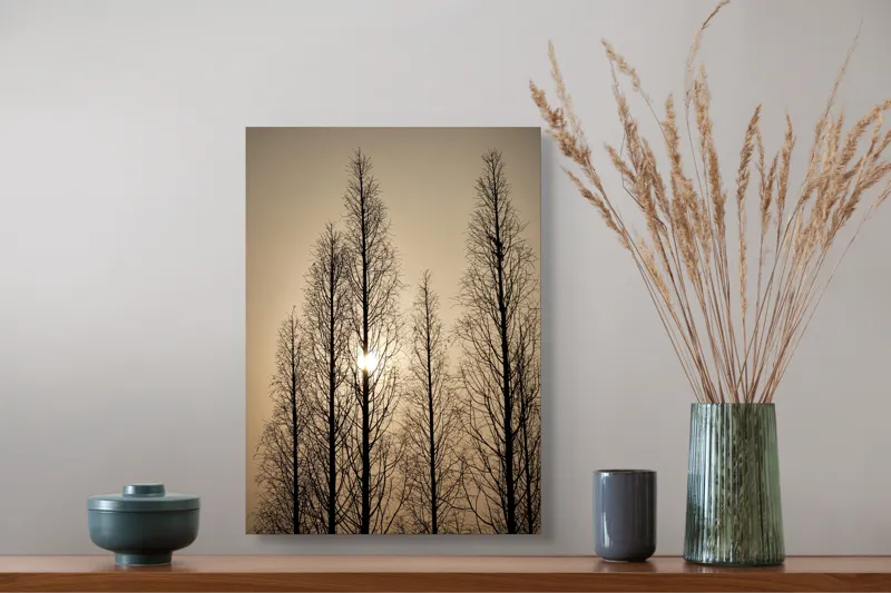 Tablou Canvas, "Razele soarelui printre ramuri înalte", Cer, Apus, Copaci, Siluete, Ramuri, Lumina, Soare, Calm, Umbre, Natura, 39 x 54 cm – poza 3