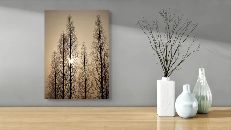 Tablou Canvas, "Razele soarelui printre ramuri înalte", Cer, Apus, Copaci, Siluete, Ramuri, Lumina, Soare, Calm, Umbre, Natura, 39 x 54 cm – poza 4