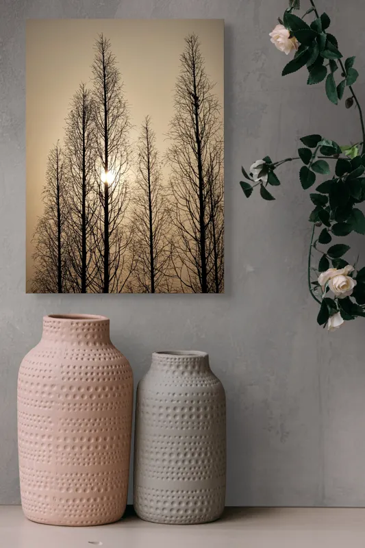 Tablou Canvas, "Razele soarelui printre ramuri înalte", Cer, Apus, Copaci, Siluete, Ramuri, Lumina, Soare, Calm, Umbre, Natura, 39 x 54 cm – poza 6