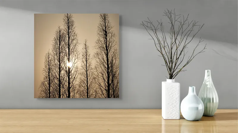 Tablou Canvas, "Razele soarelui printre ramuri înalte", Cer, Apus, Copaci, Siluete, Ramuri, Lumina, Soare, Calm, Umbre, Natura, 50 x 50 cm – poza 3