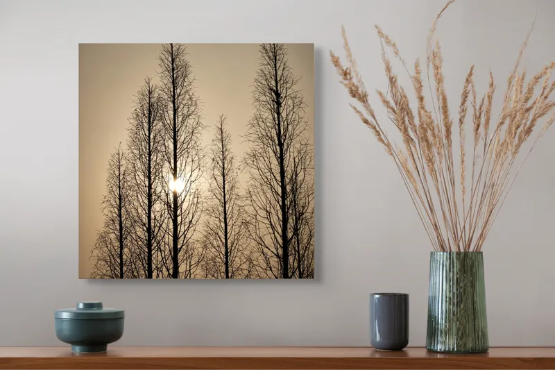 Tablou Canvas, "Razele soarelui printre ramuri înalte", Cer, Apus, Copaci, Siluete, Ramuri, Lumina, Soare, Calm, Umbre, Natura, 50 x 50 cm – poza 4