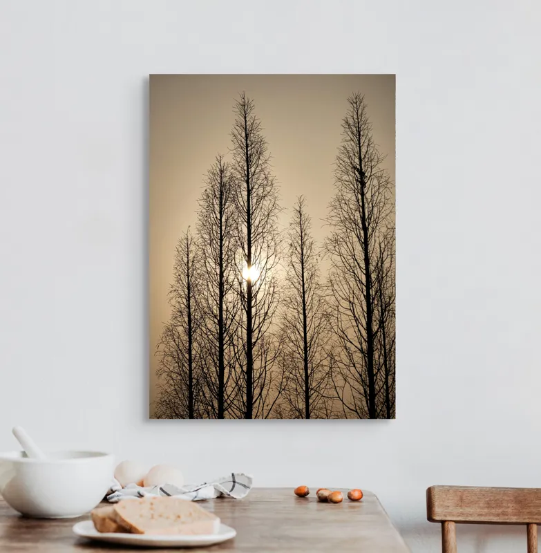 Tablou Canvas, "Razele soarelui printre ramuri înalte", Cer, Apus, Copaci, Siluete, Ramuri, Lumina, Soare, Calm, Umbre, Natura, 50 x 70 cm – poza 3