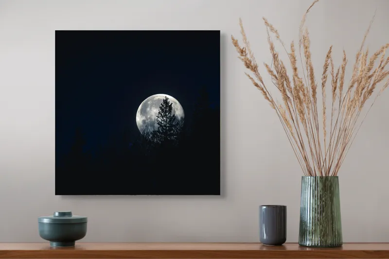 Tablou Canvas, "Luna printre copaci în noapte", Lună, Noapte, Copaci, Siluetă, Cer, Mister, Lumină, Natură, 50 x 50 cm – poza 4