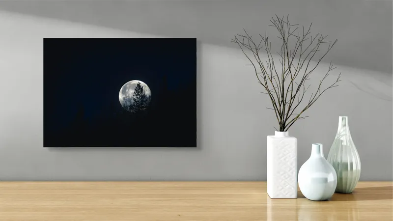Tablou Canvas, "Luna printre copaci în noapte", Lună, Noapte, Copaci, Siluetă, Cer, Mister, Lumină, Natură, 54 x 39 cm – poza 3