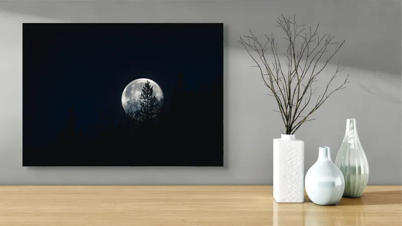 Tablou Canvas, "Luna printre copaci în noapte", Lună, Noapte, Copaci, Siluetă, Cer, Mister, Lumină, Natură, 70 x 50 cm – poza 3
