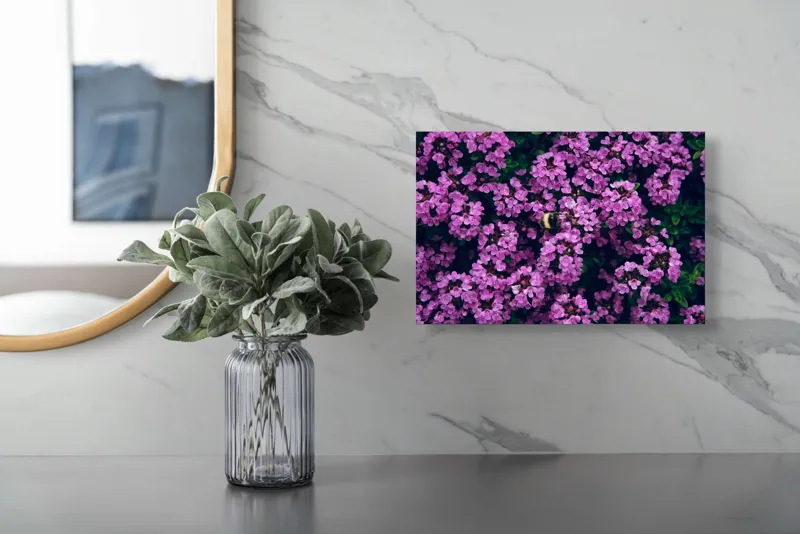 Tablou Canvas, "Albine printre florile de liliac", Flori, Mov, Albina, Natură, Delicat, Viu, Plante, Verdeață, 39 x 26 cm – poza 5