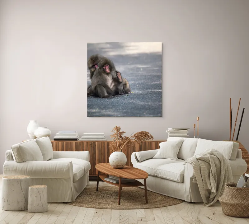 Tablou Canvas, "Două maimuțe stând pe drum", 100 x 100 cm – poza 3