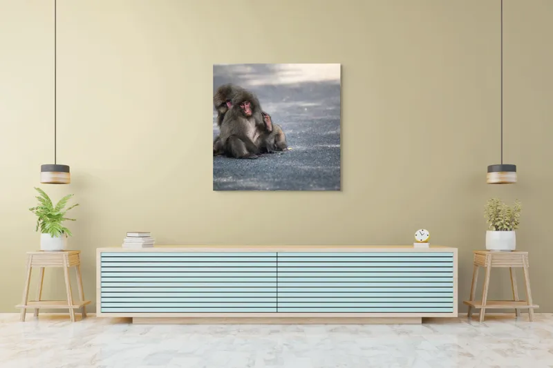 Tablou Canvas, "Două maimuțe stând pe drum", 100 x 100 cm – poza 5