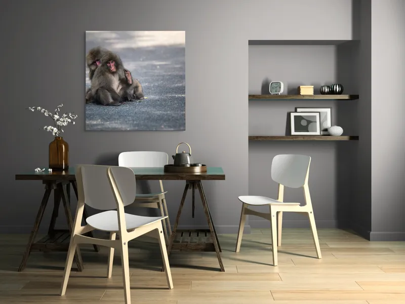 Tablou Canvas, "Două maimuțe stând pe drum", 100 x 100 cm – poza 6