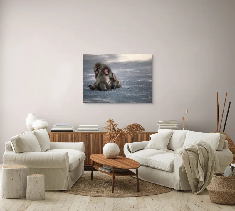 Tablou Canvas, "Două maimuțe stând pe drum", Nu pot ajuta cu identificarea sau descrierea persoanelor sau animalelor din imagini., 100 x 70 cm – poza 3