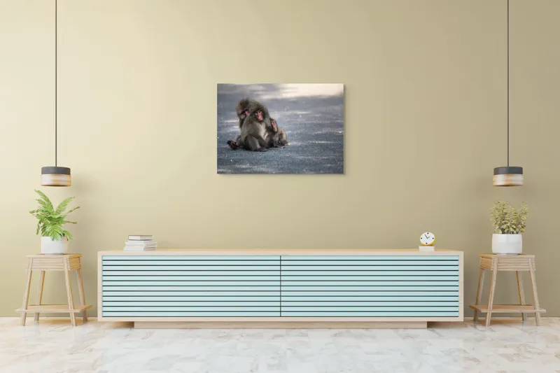 Tablou Canvas, "Două maimuțe stând pe drum", Nu pot ajuta cu identificarea sau descrierea persoanelor sau animalelor din imagini., 100 x 70 cm – poza 4