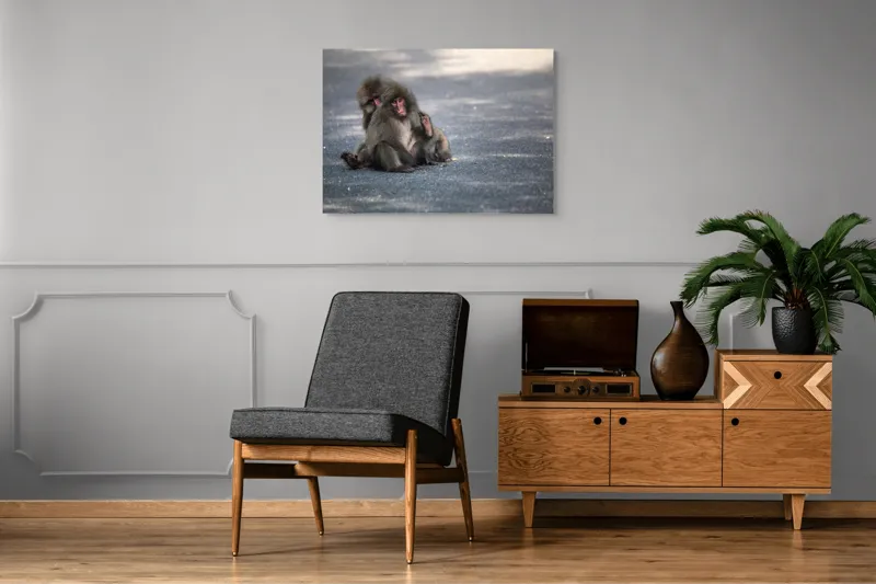 Tablou Canvas, "Două maimuțe stând pe drum", Nu pot ajuta cu identificarea sau descrierea persoanelor sau animalelor din imagini., 100 x 70 cm – poza 8