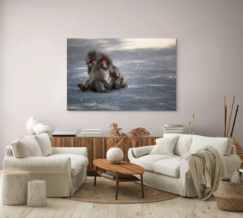Tablou Canvas, "Două maimuțe stând pe drum", Nu pot ajuta cu identificarea sau descrierea persoanelor sau animalelor din imagini., 150 x 100 cm – poza 3