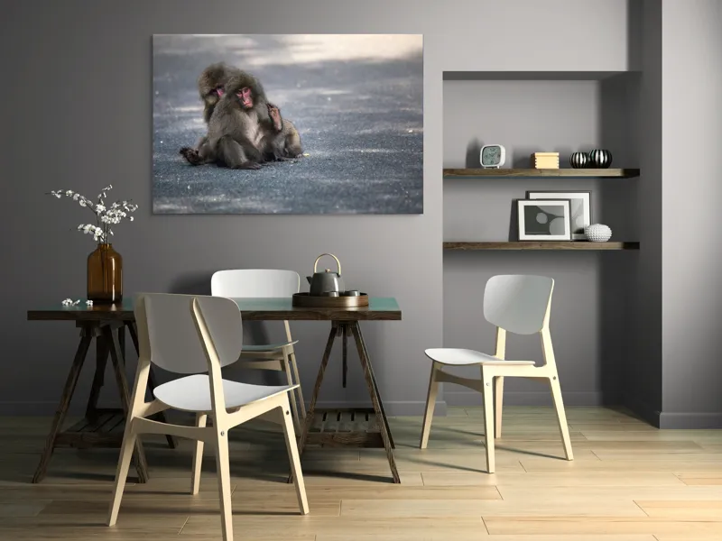 Tablou Canvas, "Două maimuțe stând pe drum", Nu pot ajuta cu identificarea sau descrierea persoanelor sau animalelor din imagini., 150 x 100 cm – poza 5