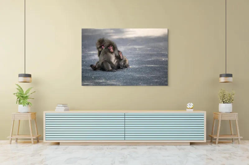 Tablou Canvas, "Două maimuțe stând pe drum", Nu pot ajuta cu identificarea sau descrierea persoanelor sau animalelor din imagini., 150 x 100 cm – poza 6