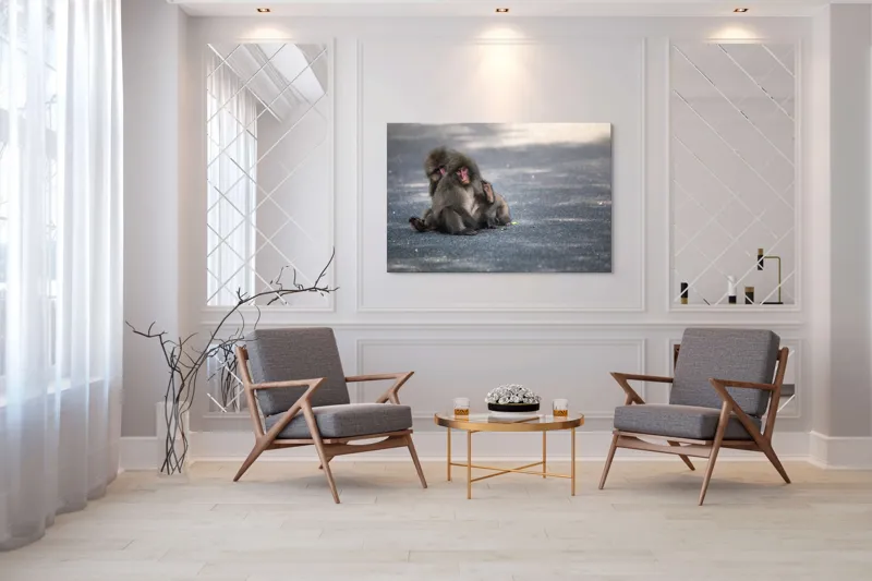 Tablou Canvas, "Două maimuțe stând pe drum", Nu pot ajuta cu identificarea sau descrierea persoanelor sau animalelor din imagini., 150 x 100 cm – poza 7