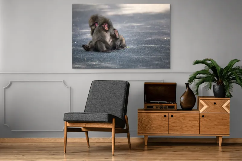 Tablou Canvas, "Două maimuțe stând pe drum", Nu pot ajuta cu identificarea sau descrierea persoanelor sau animalelor din imagini., 150 x 100 cm – poza 8