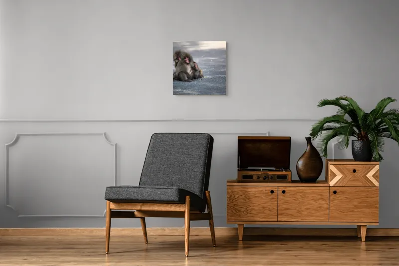Tablou Canvas, "Două maimuțe stând pe drum", Nu pot ajuta cu identificarea sau descrierea persoanelor sau animalelor din imagini., 50 x 50 cm – poza 6