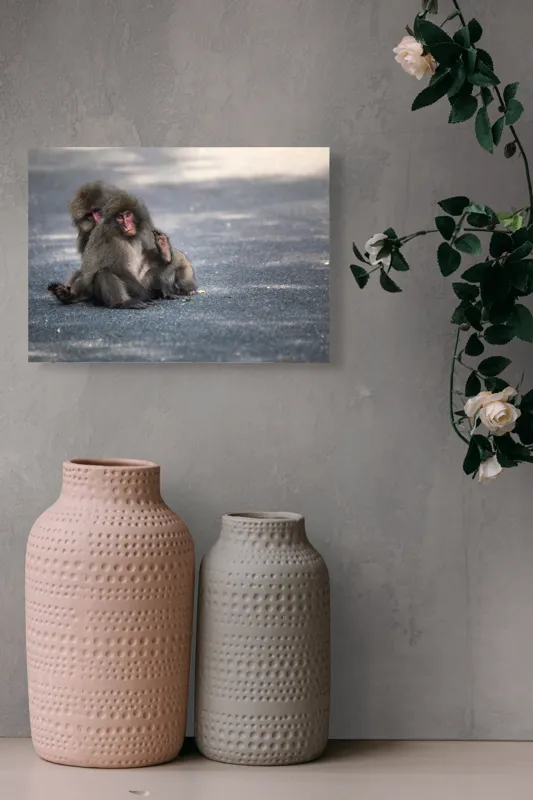 Tablou Canvas, "Două maimuțe stând pe drum", Nu pot ajuta cu identificarea sau descrierea persoanelor sau animalelor din imagini., 54 x 39 cm – poza 8