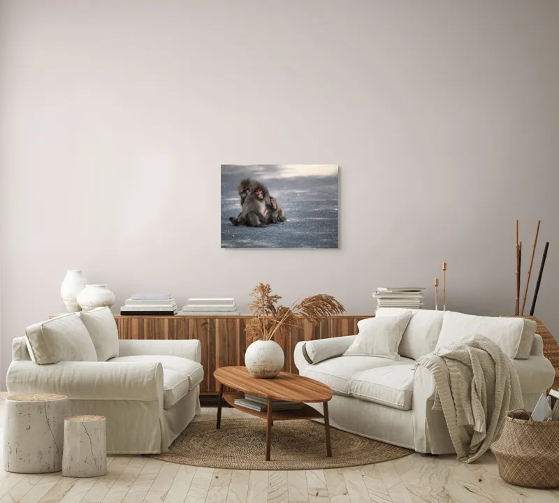Tablou Canvas, "Două maimuțe stând pe drum", Nu pot ajuta cu identificarea sau descrierea persoanelor sau animalelor din imagini., 70 x 50 cm – poza 6