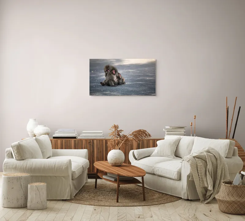 Tablou Canvas, "Două maimuțe stând pe drum", Nu pot ajuta cu identificarea sau descrierea persoanelor sau animalelor din imagini., 90 x 50 cm – poza 4