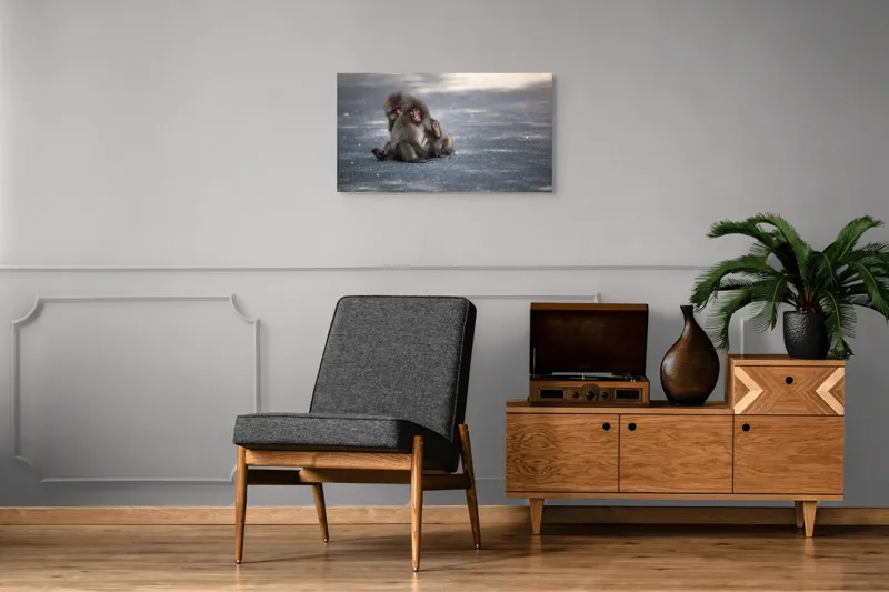 Tablou Canvas, "Două maimuțe stând pe drum", Nu pot ajuta cu identificarea sau descrierea persoanelor sau animalelor din imagini., 90 x 50 cm – poza 6