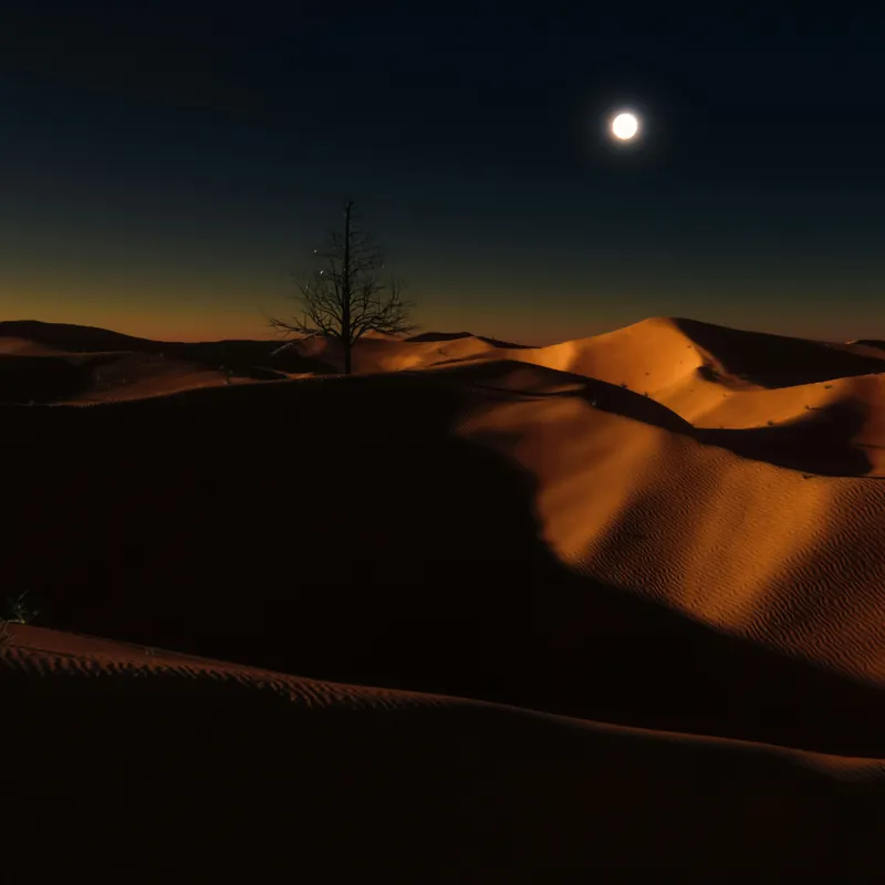 Tablou Canvas, "Noapte senină în deșertul singuratic", Deșert, Noapte, Lună, Dune, Sclipiri, Umbre, Solitudine, Mister, Întuneric, Lumină., 100 x 100 cm – poza 2
