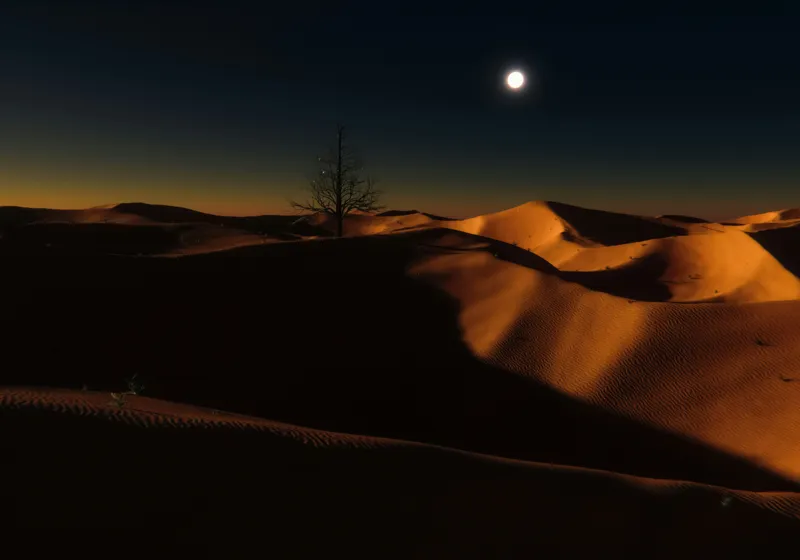 Tablou Canvas, "Noapte senină în deșertul singuratic", Deșert, Noapte, Lună, Dune, Sclipiri, Umbre, Solitudine, Mister, Întuneric, Lumină., 100 x 70 cm – poza 2