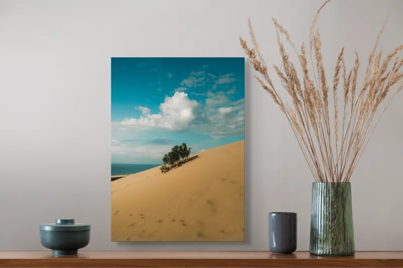 Tablou Canvas, "Planta solitară pe dune pustii", Nisip, Dune, Cer, Nor, Vegetație, Orizont, Albastru, Verde, Pustiu, Natură, 39 x 54 cm – poza 3
