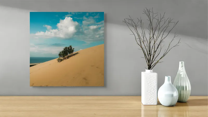 Tablou Canvas, "Planta solitară pe dune pustii", Nisip, Dune, Cer, Nor, Vegetație, Orizont, Albastru, Verde, Pustiu, Natură, 50 x 50 cm – poza 3