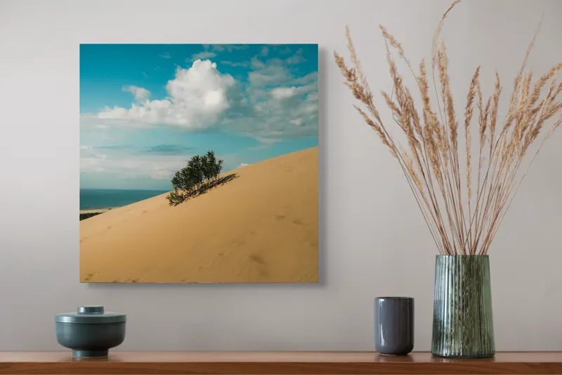 Tablou Canvas, "Planta solitară pe dune pustii", Nisip, Dune, Cer, Nor, Vegetație, Orizont, Albastru, Verde, Pustiu, Natură, 50 x 50 cm – poza 4