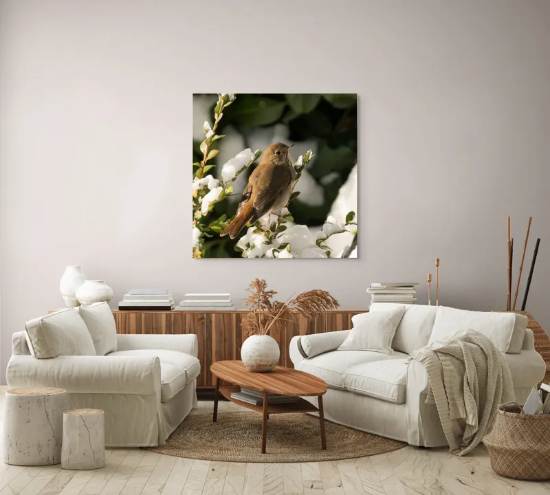 Tablou Canvas, "Pasărea cântătoare în zăpada proaspătă", Pasăre, Zăpadă, Natură, Ramuri, Frunze, Verde, Frig, Iarnă, Peisaj, Delicat, 100 x 100 cm – poza 3