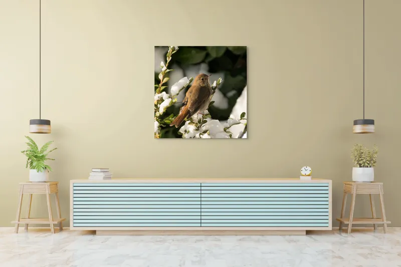 Tablou Canvas, "Pasărea cântătoare în zăpada proaspătă", Pasăre, Zăpadă, Natură, Ramuri, Frunze, Verde, Frig, Iarnă, Peisaj, Delicat, 100 x 100 cm – poza 5